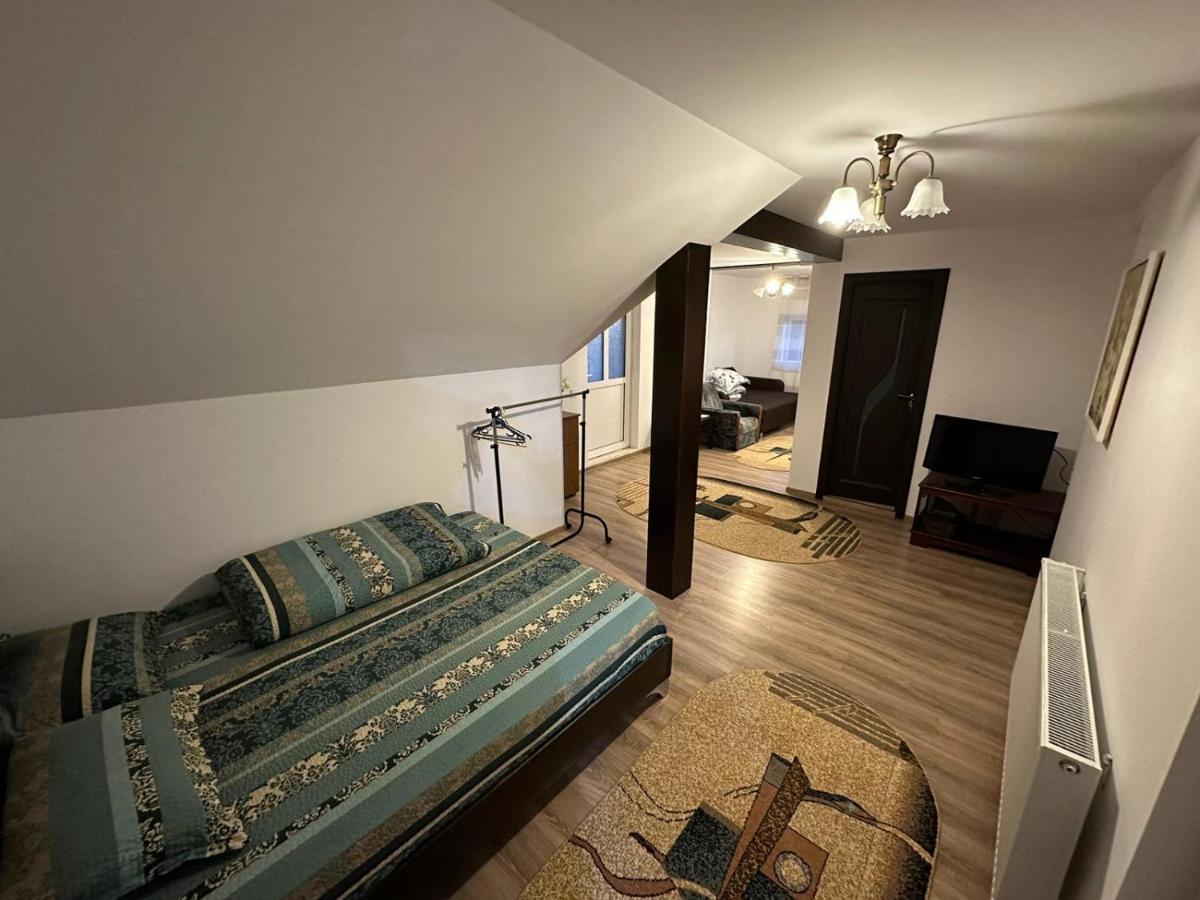 Casa De Vacanta Mirela Новач-Стрэйни Экстерьер фото